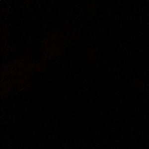 Meet your Posher, Ana